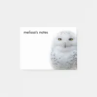 Beautiful, Dreamy and Serene Snowy Owl Post-it Notes
