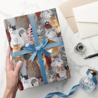 Cats meeting point wrapping paper