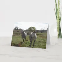 Grey Horses Card