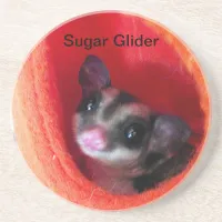 Sugar Glider in Orange Hanging Bed Drink Coaster