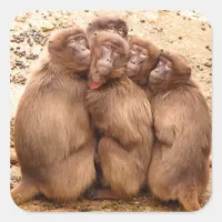 Group of Monkeys Sticker