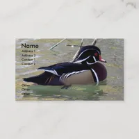 Wood Duck Drake Business Card