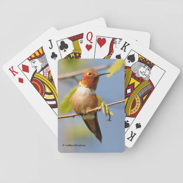 Male Rufous Hummingbird in the Summer Sun Poker Cards