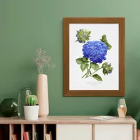 Blue Hydrangea Original Art Print