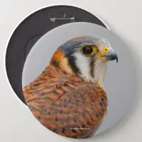 Stunning American Kestrel Sparrowhawk Falcon Button