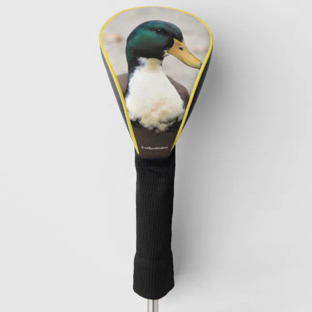 Domestic Mallard Duclair Bibbed Odd Duck Golf Head Cover