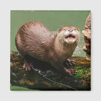 Cute Otter Laughing on Log in the Water Magnet