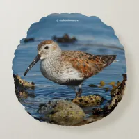 Beautiful Dunlin Sandpiper at the Spring Beach Round Pillow