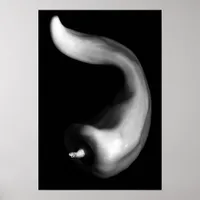 Curvy Pepper Close Up Black and White Photography Poster