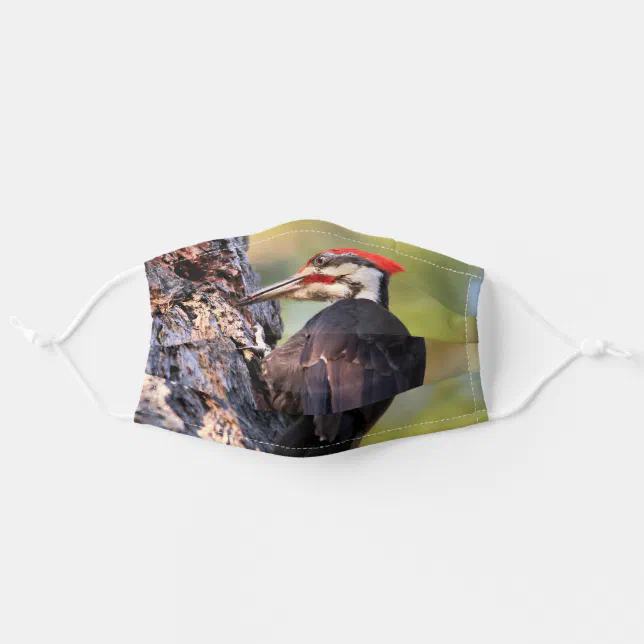 Beautiful Pileated Woodpecker on the Tree Adult Cloth Face Mask