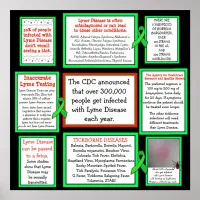 Lyme Disease Awareness Poster