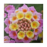 Makro: Pink and Yellow Lantana Flower Ceramic Tile