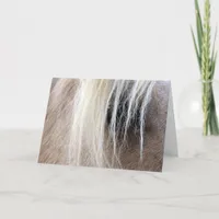 Palomino Horse Card