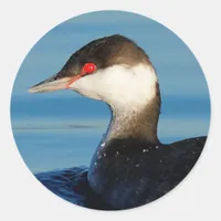 Profile of a Horned Grebe Classic Round Sticker