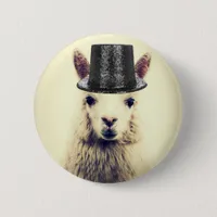 Alpaca in a Tophat Button