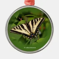 Beautiful Western Tiger Swallowtail Butterfly Metal Ornament