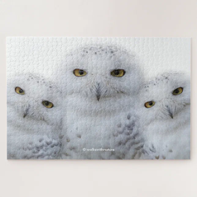 Dreamy Wisdom of Snowy Owls Jigsaw Puzzle