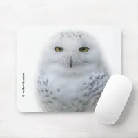 Beautiful, Dreamy and Serene Snowy Owl Mouse Pad