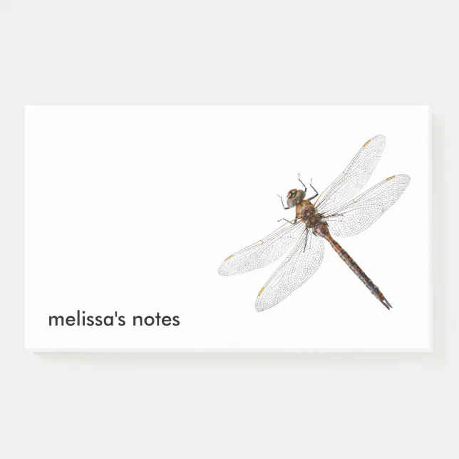 Closeup of a Canada Darner Dragonfly Post-it Notes