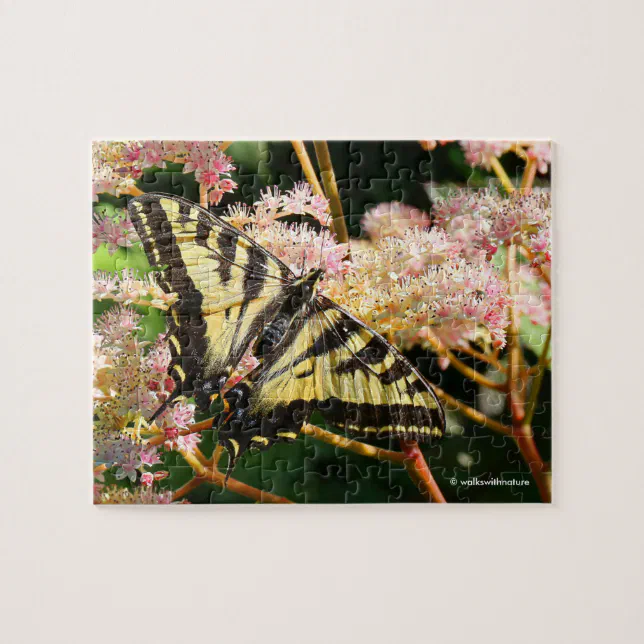 Western Tiger Swallowtail Butterfly on Rodgersia Jigsaw Puzzle