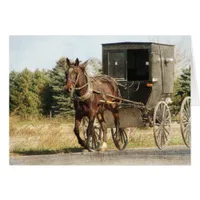 Amish Horse and Buggy