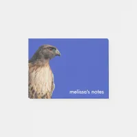 Magnificent Red-Tailed Hawk in the Sun Post-it Notes