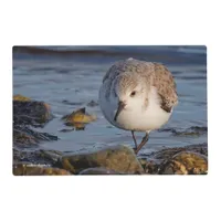 Sanderling Strolls a Winter Beach Placemat