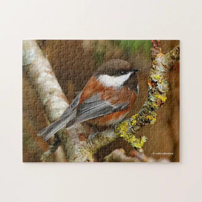 Cute Chestnut-Backed Chickadee Songbird Jigsaw Puzzle