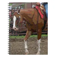 Western Horse Cartoon Effect Notebook