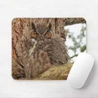 Great Horned Owl in the Douglas Fir Mouse Pad