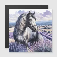 Pretty Gray Horse Standing in Lavender