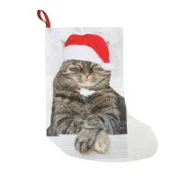 Christmas Cat Humbug Photo Small Christmas Stocking