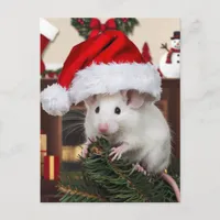 A Funny Christmas Mouse Postcard