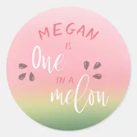 Cute Watermelon "One In A Melon" Tropical Themed Classic Round Sticker