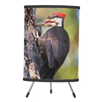 Beautiful Pileated Woodpecker on the Tree Tripod Lamp