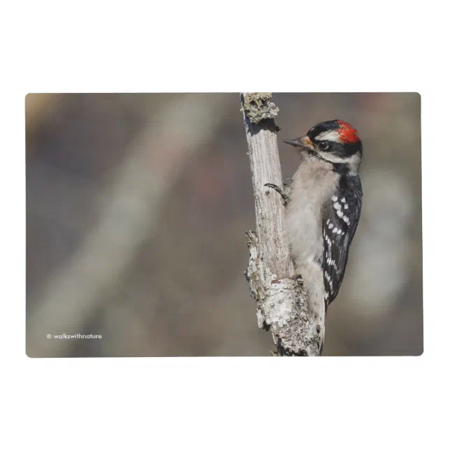 Profile of a Male Downy Woodpecker Placemat