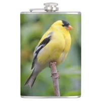 Male American Goldfinch on the Bamboo Hip Flask