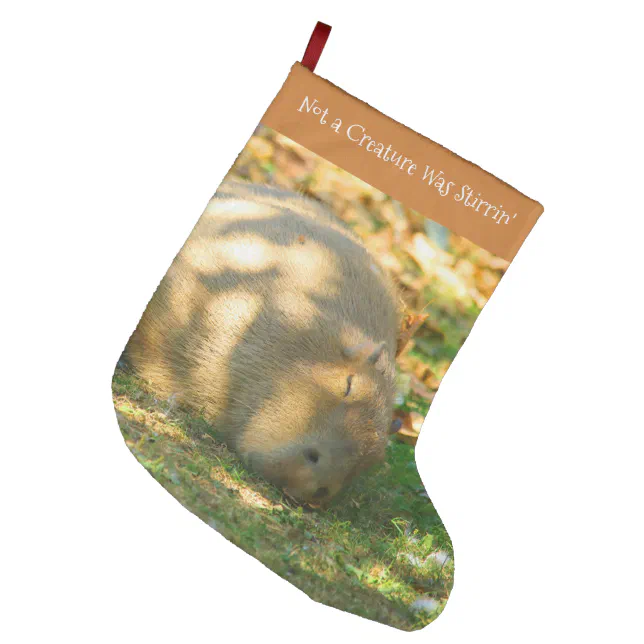 Cute Capybara Dreams in the Summer Sun Large Christmas Stocking