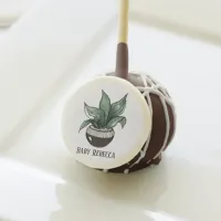 Potted Succulent Houseplant Custom Cake Pops