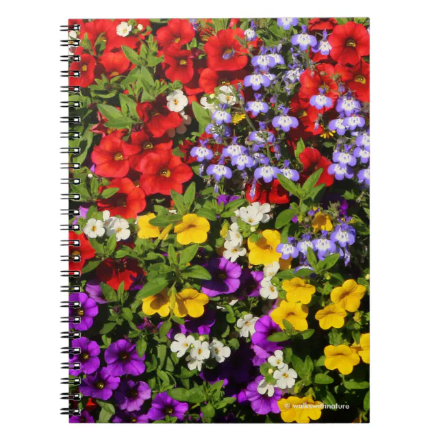 A Colorful Pastiche of Summer Annual Flowers Notebook