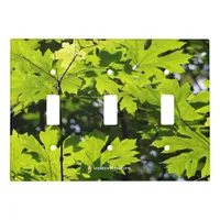 Sun-Dappled Leaves in the Forest Light Switch Cover