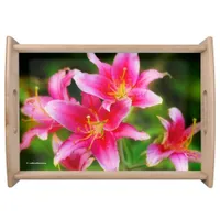 Hot Pink Olympic Torch Lilies Serving Tray