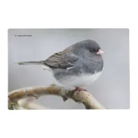 Slate-Colored Dark-Eyed Junco on the Pear Tree Placemat