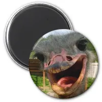 Funny Ostrich Bird Photo What's Up Magnet