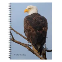 Beautiful Bald Eagle in a Tree Notebook