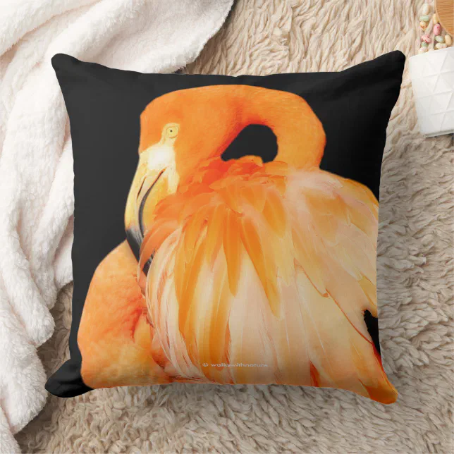 Elegant Flamingo Wading Bird in Summer Sun Throw Pillow