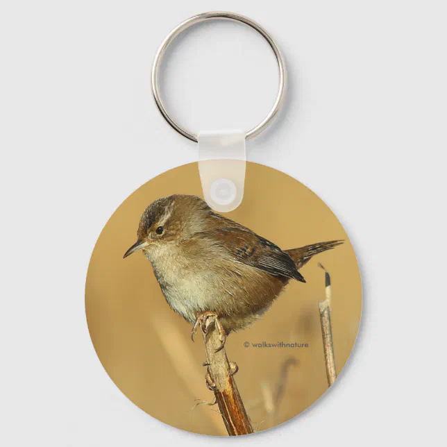 Profile of a Beautiful Marsh Wren Keychain