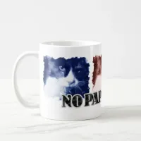 Funny No Paparazzi Cat Color Coffee Mug