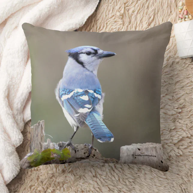 Cute Blue Jay Songbird on Treestump Throw Pillow