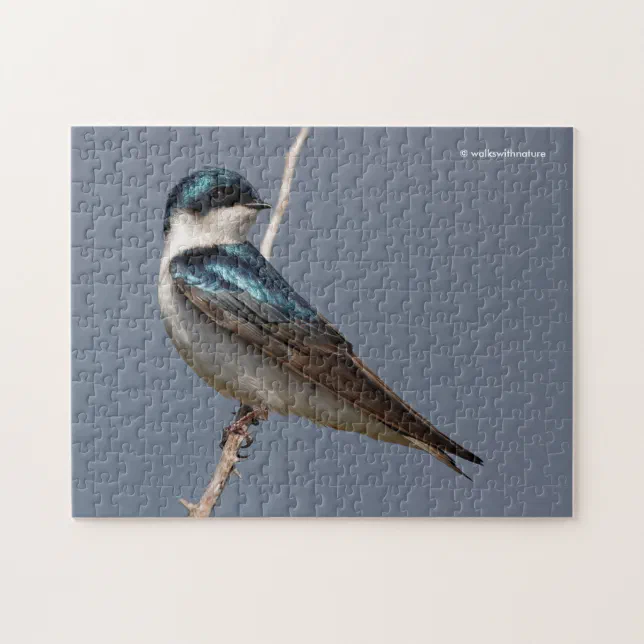 Sunlit Profile of a Tree Swallow Songbird Jigsaw Puzzle